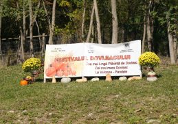 Standuri cu produse tradiționale și artizanat local la Vulcana-Pandele.