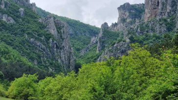 BTA: Bulgaria marchează Ziua Internațională a Pădurilor cu rezervele sale de cherestea în creștere