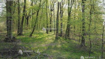 ANM: Vreme rece, vânt și ploi moderate în majoritatea regiunilor, până luni dimineața; ninsori în zonele montane