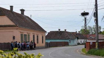 Harghita: Asociația Project Bag dorește să extindă educația ecologică în școli; berzele vor fi centrul atenției (GALERIE FOTO)