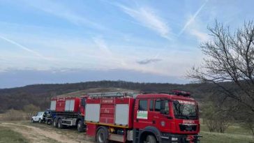 Timiș: 20 de hectare de pădure și 10 de pășune cuprinse de un incendiu, la Coșteiu de Sus