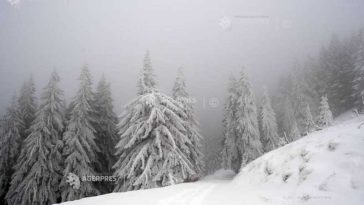 Vânt puternic și ploi în întreaga țară, în zilele următoare; la munte se va depune strat consistent de zăpadă (meteorologi)