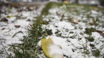 ANM prelungește Codul galben de ninsoare și vânt puternic în zonele de munte din Maramureș, Bistrița-Năsăud și Cluj