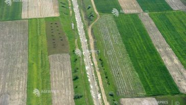 Vaslui: Precipitațiile înregistrate de la începutul anului, benefice pentru culturile înființate în toamna lui 2025