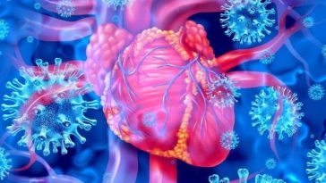 Nou ghid pentru controlul colesterolului: accent pe prevenţie şi evaluarea mai riguroasă a riscului cardiovascular