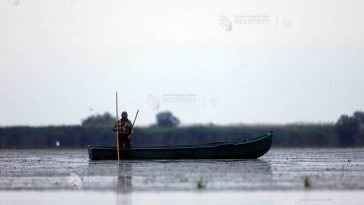 Tulcea: În Deltă a început prohibiția pescuitului la șalău și biban
