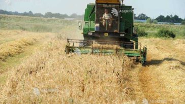 Perspective pozitive pentru anul agricol 2026, cu incertitudini legate de costuri și finanțare (analiză)