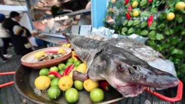 Târg pescăresc de Florii, organizat la Ministerul Agriculturii, în perioada 3-5 aprilie