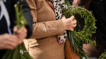 Despescu (MAI): Forțe integrate ale Poliției și Jandarmeriei, prezente la pelerinajul de Florii din București