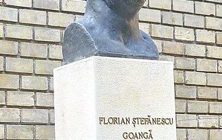 PERSONALITATEA ZILEI: Psihologul Florian Ștefănescu-Goangă