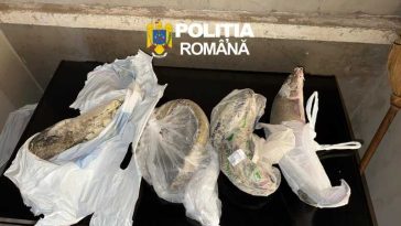 Cinci persoane, reținute pentru braconaj piscicol, după efectuarea de percheziții în Arad și Timiș