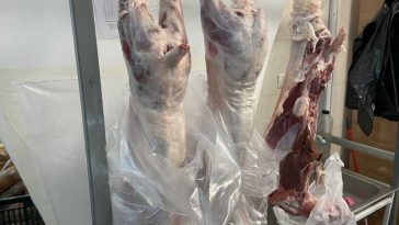 Arad: Crescătorii au menținut prețurile de anul trecut la miel sau le-au scăzut ca să nu rămână cu animalele