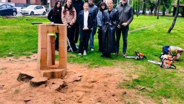 Prahova: Trunchiuri de copaci din Ploiești devin artă urbană; unele lucrări - inspirate din Brâncuși