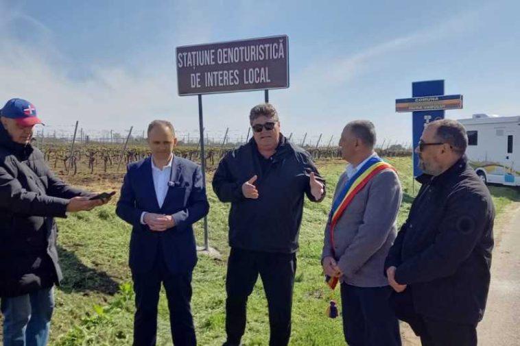 Prahova: Gura Vadului a devenit prima localitate oenoturistică din România