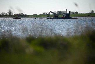 Gestionarea haotică a situației balenei eșuate scoate la iveală diviziunile din societatea germană