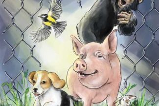 24 aprilie – Ziua mondială a protecției animalelor de laborator