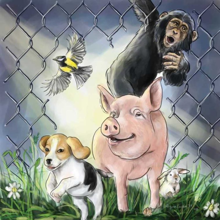 24 aprilie – Ziua mondială a protecției animalelor de laborator