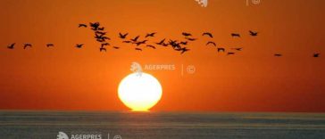 EFEMERIDE ASTRONOMICE – 24 aprilie