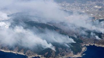 Japonia/ Evacuări în nordul țării din cauza incendiilor forestiere