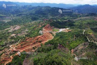 Biodiversitatea a 36% dintre habitate ar putea să dispară până în 2085 din cauza fenomenelor climatice extreme