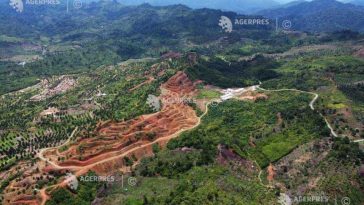 Biodiversitatea a 36% dintre habitate ar putea să dispară până în 2085 din cauza fenomenelor climatice extreme