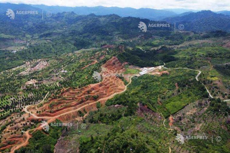 Biodiversitatea a 36% dintre habitate ar putea să dispară până în 2085 din cauza fenomenelor climatice extreme