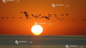 EFEMERIDE ASTRONOMICE – 25 aprilie