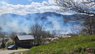 Incendiu la Soveja/ Pompieri din mai multe județe au fost mobilizați să intervină; mesaje RO-ALERT