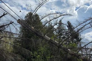 IGSU: Vântul puternic a afectat 56 localități din 14 județe; copaci doborâți și avarii în alimentarea cu energie electrică