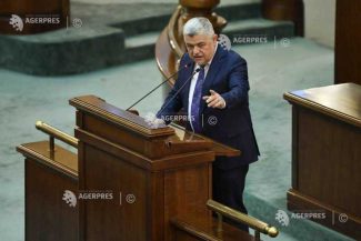 Ninel Peia: Grupul PACE va vota moțiunea de cenzură; din câte am înțeles, marți va fi depusă