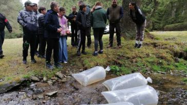 Harghita: Peste 2.500 de elevi au participat în ultimii patru ani în programul ‘Micul Pescar’