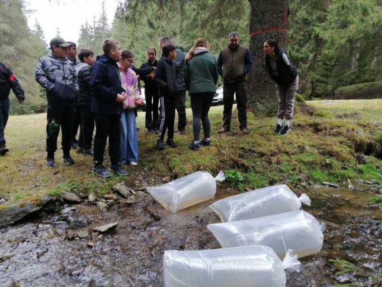 Harghita: Peste 2.500 de elevi au participat în ultimii patru ani în programul ‘Micul Pescar’