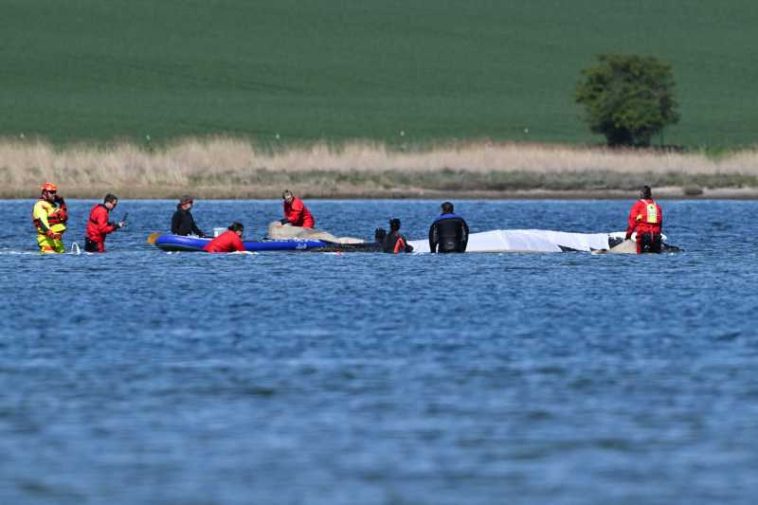 Balenă eșuată în Marea Baltică/ Autoritățile autorizează o nouă tentativă de salvare