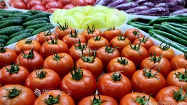 Dâmbovița: Județul ocupă primul loc pe țară la producția de legume, de fructe și de ouă