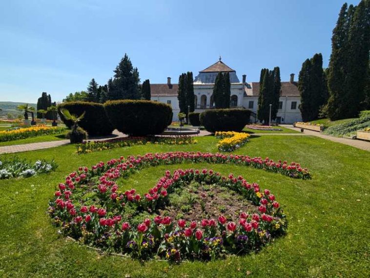 Sălaj: Grădina Botanică din Jibou, destinație de 1 Mai; zeci de mii de lalele și cireși japonezi înfloriți