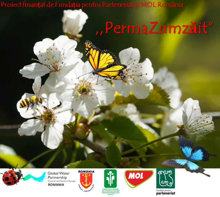 Galați: Grădină dedicată polenizatorilor, amenajată în Grădina Botanică, pe o suprafață de 500 de metri pătrați