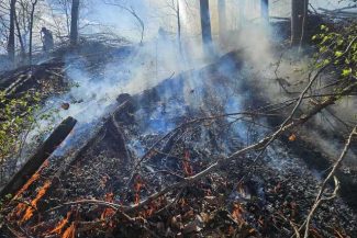 Incendiu de amploare în zona de munte a judeţului Cluj. Focul s-a extins pe o suprafaţă de peste 5 hectare, în apropiere de pădure / Intervenţia e dificilă din cauza terenului acccidentat şi a vântului – VIDEO