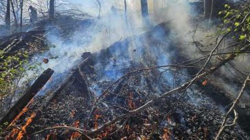 Incendiu de amploare în zona de munte a judeţului Cluj. Focul s-a extins pe o suprafaţă de peste 5 hectare, în apropiere de pădure / Intervenţia e dificilă din cauza terenului acccidentat şi a vântului – VIDEO