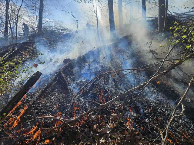 Incendiu de amploare în zona de munte a judeţului Cluj. Focul s-a extins pe o suprafaţă de peste 5 hectare, în apropiere de pădure / Intervenţia e dificilă din cauza terenului acccidentat şi a vântului – VIDEO