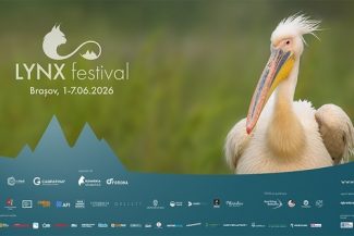 Natura este vedetă de cinema la a patra ediţie LYNX Festival de la Braşov/ Zece filme, cinci expoziţii, două masterclass-uri, în program