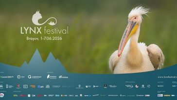 Natura este vedetă de cinema la a patra ediţie LYNX Festival de la Braşov/ Zece filme, cinci expoziţii, două masterclass-uri, în program
