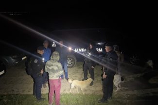 Bacău: Bărbat care plecase să îşi caute animalele şi care s-a întâlnit cu un urs, ajutat de jandarmi