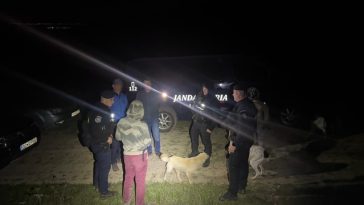 Bacău: Bărbat care plecase să îşi caute animalele şi care s-a întâlnit cu un urs, ajutat de jandarmi