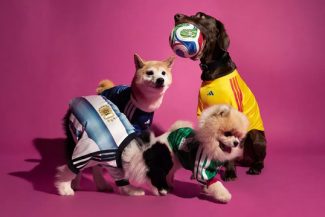 Cupa Mondială 2026: Adidas lansează o colecţie de tricouri ale echipelor naţionale, pentru câini