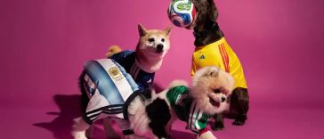 Cupa Mondială 2026: Adidas lansează o colecţie de tricouri ale echipelor naţionale, pentru câini