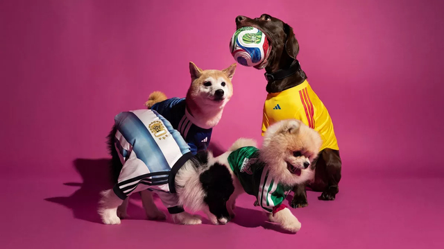 Cupa Mondială 2026: Adidas lansează o colecţie de tricouri ale echipelor naţionale, pentru câini