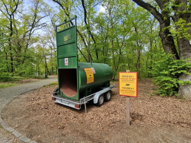 Autorităţile din Târgu Mureş atrag atenţia că un urs a fost observat în mod repetat în zona Platoului Corneşti şi a Grădinii Zoologice şi recomandă populaţiei prudenţă/ A fost montată o cuşcă de capturare a animalului