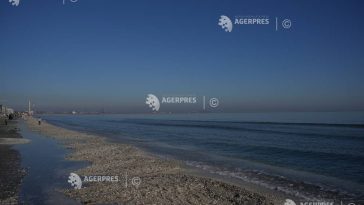 ANAR organizează două etape de licitație publică pentru 102 subsectoare de plajă în stațiunile de pe Litoral