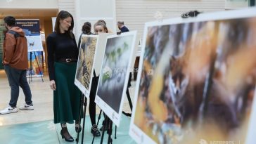 Expoziția ‘Fotogeografica 2025’ – vernisată, marți, la Carei