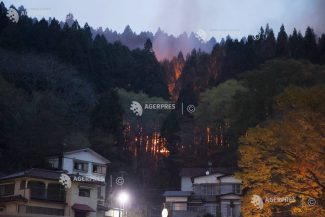 Sute de pompieri luptă contra incendiilor forestiere în nordul Japoniei